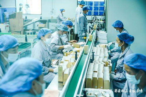 老滇凰云极工厂 以信息技术咨询服务为引擎，驱动云南蜂业现代化转型